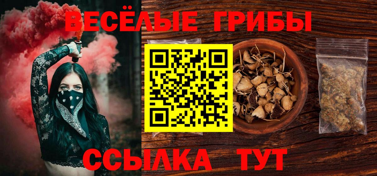 Псилоцибиновые грибы Psilocybine cubensis Гусев