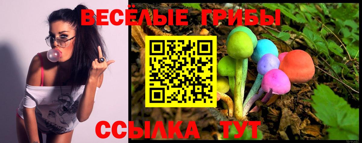 Гусев  Псилоцибиновые грибы Magic Shrooms  Вход с VPN  Псилоцибиновые грибы мицелий 